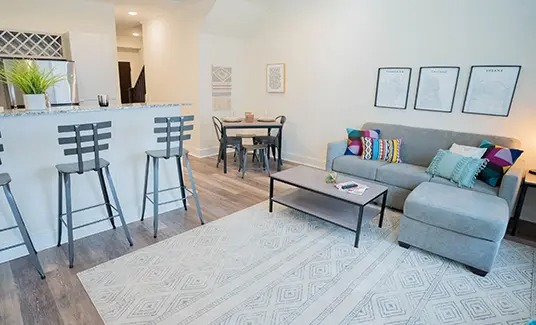 furnished living space